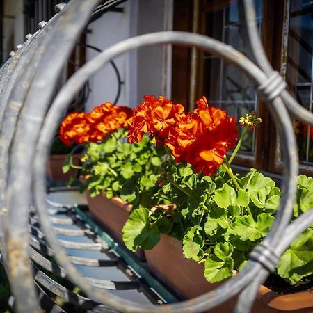 Ferienwohnung Zypresse Merano Bagian luar foto