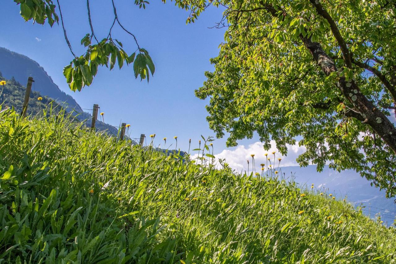 Ferienwohnung Zypresse Merano Bagian luar foto